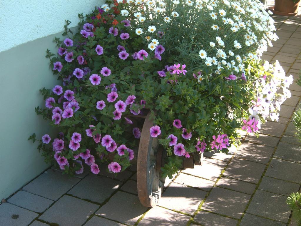 Appartement Gaestehaus Walch *